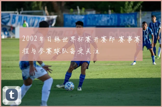 2002年日韩世界杯赛开赛即 赛事赛程与参赛球队备受关注