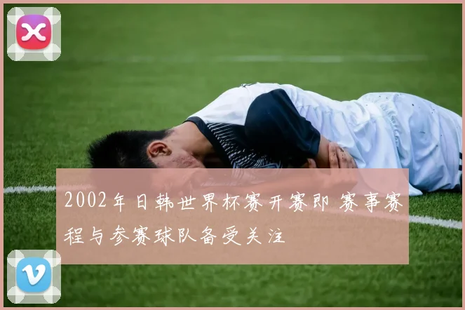 2002年日韩世界杯赛开赛即 赛事赛程与参赛球队备受关注