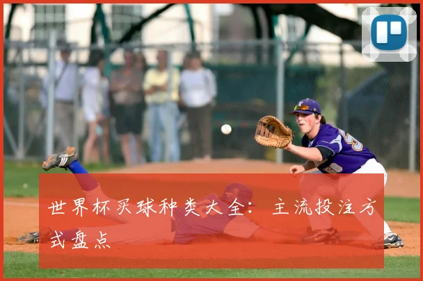 世界杯买球种类大全：主流投注方式盘点