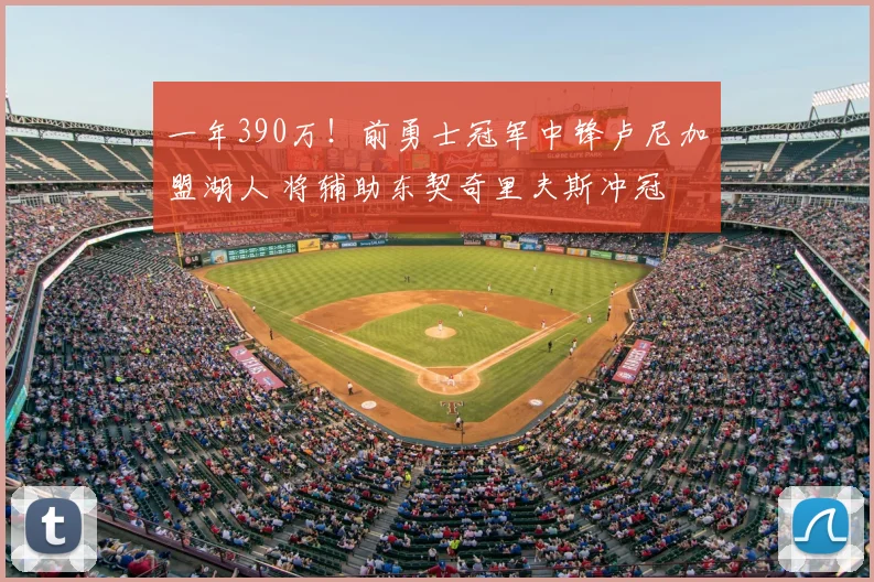 一年390万!前勇士冠军中锋卢尼加盟湖人 将辅助东契奇里夫斯冲冠